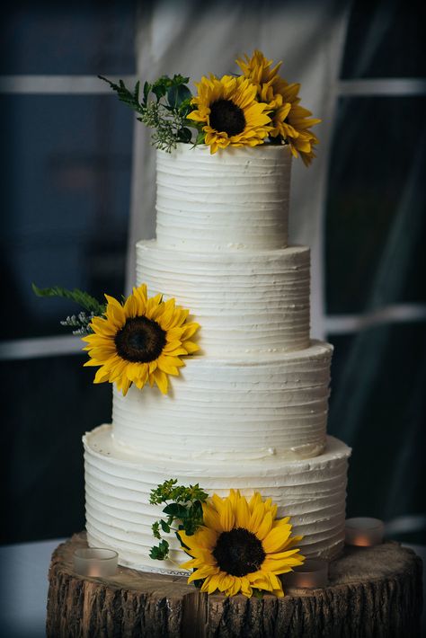 Cake Florals, Sunflower Wedding Cake, Sunflower Wedding Decorations, Rustic Sunflower Wedding, Sunflower Party, Sunflower Themed Wedding, Wedding Cake Roses, Tiered Cake, Wedding Cake Rustic