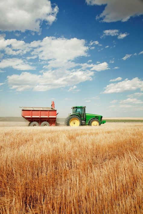 Tractor In Field, Farming Photo, Harvest Photography, Tractor Photography, Agriculture Photography, Country Backgrounds, Tractor Pictures, Farm Lifestyle, Farm Photography