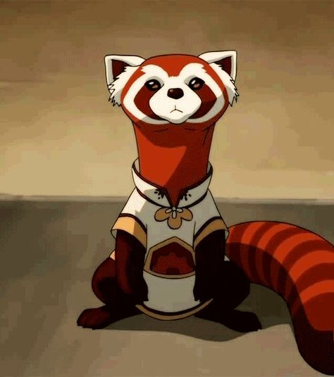 Pabu the fire-ferret (: Avatar The Last Airbender Funny, Avatar Series, Art And Craft Videos, Team Avatar, Avatar Airbender, Avatar Aang, Animated Drawings, Anime Tattoos, Red Panda