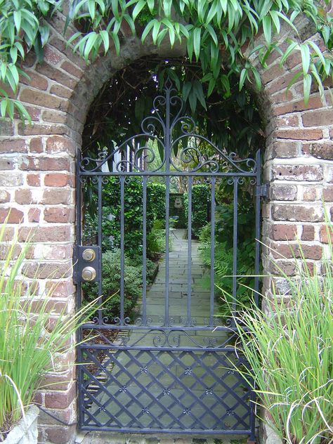 Charleston Gates, Iron Fence Gate, Backyard Gates, Metal Garden Gates, Garden Gate Design, Iron Garden Gates, Fence Garden, Iron Gate Design, Wrought Iron Gate