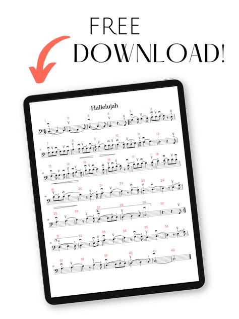 It's Never Too Late to Start Cello — ADULT CELLO Cello Notes, Cello Tutorial, Cello Practice, Music Knowledge, Cello Lessons, Cello Sheet Music, Music Teaching Resources, Never Too Late To Start, Cello Music