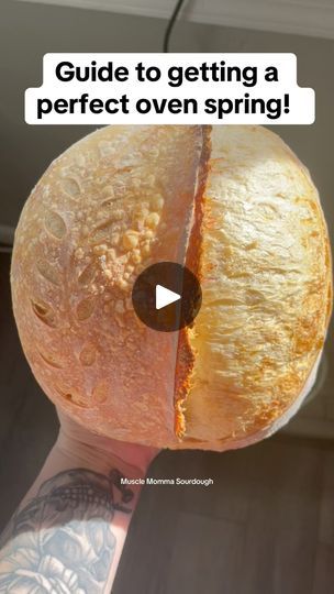 92K views · 1.2K reactions | How to get the perfect oven spring on your sourdough! An "oven spring" in sourdough bread refers to the final rise that happens when the dough goes into the hot oven. Here are 6 steps you can take to get a beautiful oven spring! #sourdough #sourdoughtips #sourdoughstarter  #activestarter #sourdoughscoring #sourdoughbaker #sourdoughbakery #sourdoughtutorial #sourdoughtipsandtricks #sourdoughbread #sourdoughhowto #beginnersourdough #sourdoughbeginner #sourdoughforbeginners #sourdoughbaking #allaboutsourdough #foodietok #breadmaking #foodtiktok #doughrecipe #bakingtips #homemadebread #breadrecipe #sourdoughrecipe #breadbaking #MakingBreadAtHome #artisanbread #BreadmakingForBeginners | Muscle Momma Sourdough How To Shape Sourdough Bread, Proofing Sourdough Bread, Shaping Sourdough Bread, Sourdough Shaping, Sourdough Tips, Dough Starter, Bread Oven, Protein Bread, Sourdough Starter Recipe