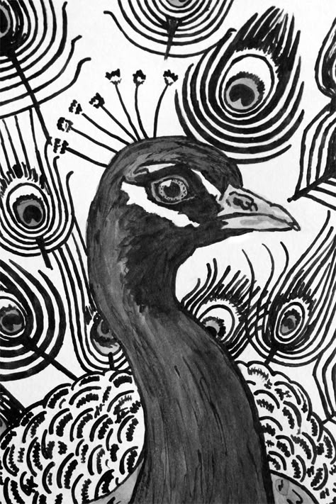 Peacock Line Art, Doodle Art Peacock, Peacock Black And White, Big Peacock Drawing, Peacock Drawing With Colour, Peacock Black And White Drawing, Peacock Sketch, Loki Tattoo, Drawing Flames