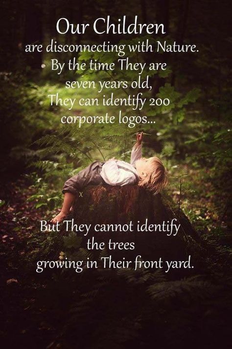 OUR CHILDREN ARE DISCONNECTING WITH NATURE. BY THE TIME THEY ARE SEVEN YEARS OLD, THEY CAN IDENTIFY 200 CORPORATE LOGOS Nature Deficit Disorder, Play Quotes, Homeschool Quotes, Intimate Questions, Nature School, Parenting Knowledge, Study Quotes, Quotes About Motherhood, Corporate Logo