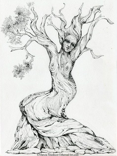 Roots Drawing, Drawing Trees, Landscape Pencil Drawings, Juniper Tree, Tree Tattoos, Tree Drawings Pencil, Twisted Tree, Tree Tattoo Designs, Family Tattoo