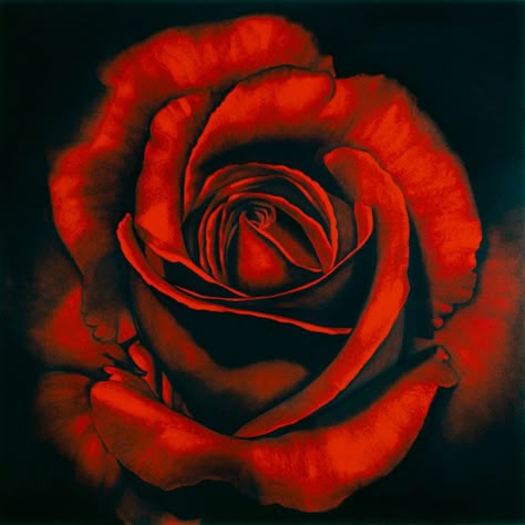 "Ophelia #5," a charcoal drawing by Robert Longo. Black Paper Drawing, Flower Painting Canvas, Chicano Art, Rose Painting, Flower Art Painting, Pastel Art, Black Paper, Art Drawings Sketches, Red Rose