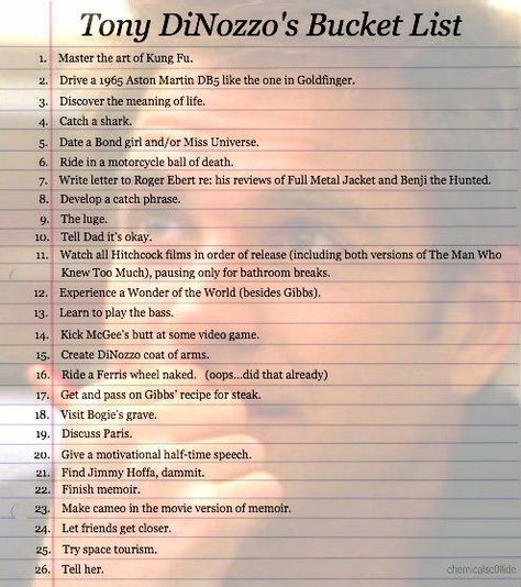 Ncis Funny, Tony Dinozzo, Anthony Dinozzo, Ziva And Tony, Ncis Gibbs Rules, Ncis Hawaii, Gibbs Rules, Ncis Cast, Laughing Animals