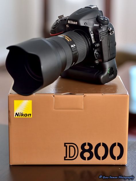 Best Camera For Photography, Dslr Lens, Nikon Digital Camera, Best Dslr, Nikon D810, Nikon D800, Nikon Camera, Camera Dslr, Nikon Dslr