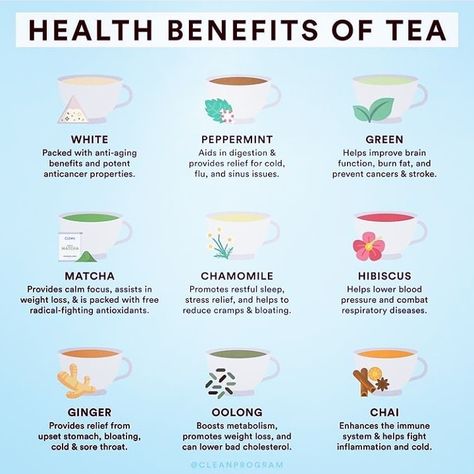 List Of Teas And Their Benefits, Tea Throughout The Day, Herbal Tea For Health, Best Tea For Womens Health, Teas And Their Benefits, Tea Therapy, List Of Teas, Health Benefits Of Tea, Peppermint Tea Benefits