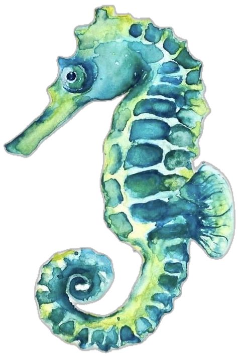 Catechism Crafts, Watercolor Seahorse, Iphone Background Art, Seahorse Painting, Art Techniques Tutorial, Ocean Theme Decorations, Sketching Tips, Animal Illustration Art, Watercolor Fish