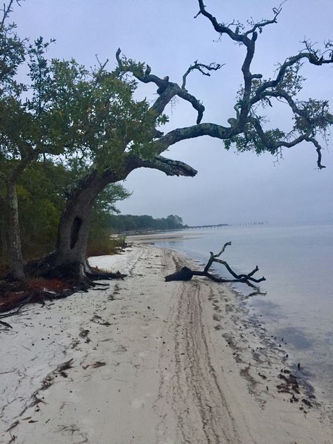 Spooky Beach Aesthetic, Lovecraft Aesthetic, Spooky Beach, Beach Town Aesthetic, Foggy Winter, Park Architecture, Lookbook Ideas, 2024 Books, Environment Reference