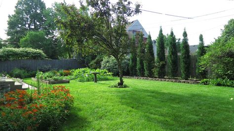 Evergreen hedge of Taylor Juniper bushes as a backyard landscaping idea: Stump removal, raised bed construction, soil mixture, nurseries, planting shrubs. Taylor Juniper Landscaping, Bushes Backyard, Taylor Juniper, Evergreen Privacy Hedge, Raised Bed Construction, Detention Pond, Juniper Bush, Bed Construction, Patio Retreat