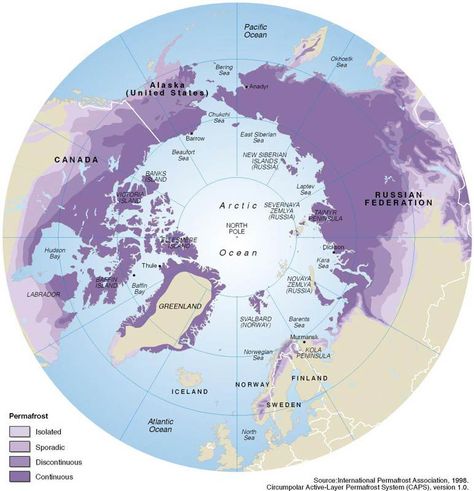 Arctic Region, Natural Hazards, Scanning Electron Micrograph, Environmental Research, Weather Underground, Ancient Animals, Environmental Science, Stem Activities, Plant Life