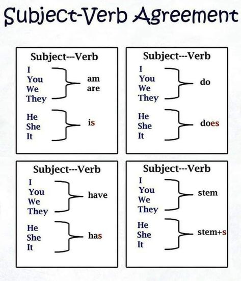 Subject Verb Agreement Activities, Subject Verb Agreement Rules, English Language Learning Activities, Simple English Sentences, English Grammar Exercises, Helping Verbs, English Grammar Rules, Grammar Quiz, Simple Subject