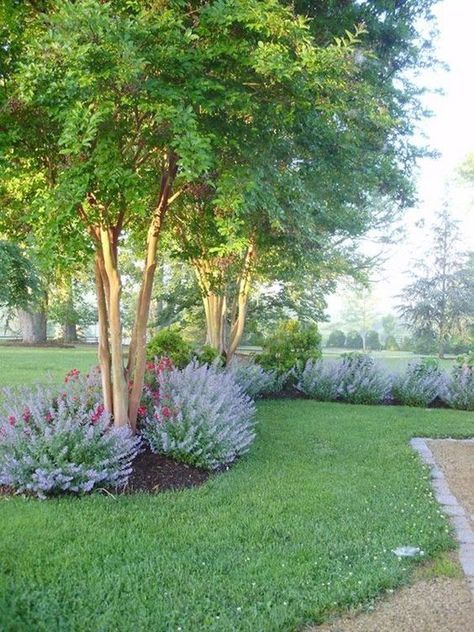 Front Yard Flowers, Landscaping Along Fence, Pathway Landscaping, Crepe Myrtle, Creative Landscape, Front Yard Design, Front Landscaping, Tiki Torches, Ideas Backyard