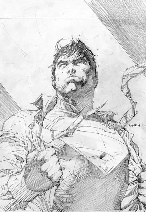 Jim Lee Superman, Jim Lee Art, Superhero Superman, Mike Deodato, Black And White Drawings, Frank Cho, Witch Ghost, Superman Art, Superman Comic