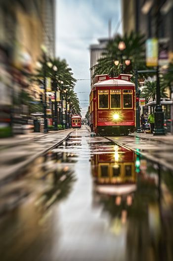 Canal street reflections New Orleans Activities, French Quarter Art, New Orleans Vacation, New Orleans Art, New Orleans French Quarter, Summer Storm, New Orleans Travel, Garden District, Through Time And Space