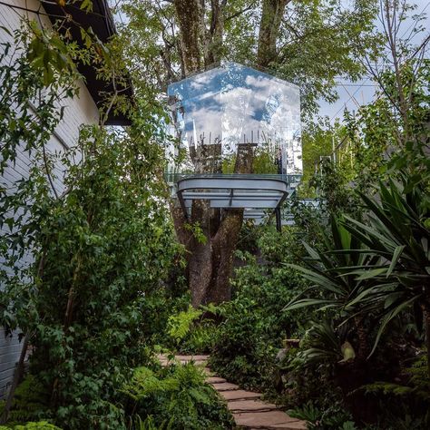 This Glass Treehouse Is Our Dream Hideaway - Designed by Mexican architect Gerardo Broissin for the annual Design Week Mexico Glass Tree House, Mirror Tree House, Contemporary Treehouse, Glass Treehouse, Tree House Hotel, Jungle Treehouse Aesthetic, Garden Tree House, Backyard Treehouse, Unusual Houses