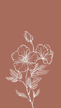 45 ⋆phone wallpapers⋆ ideas | aesthetic iphone wallpaper, iphone background wallpaper, minimalist wallpaper White Flower Wallpaper, Flower Graphic Design, Fish Sea, Boho Wallpaper, Bohemian Flowers, Star Fish, 수채화 그림, Backgrounds Phone Wallpapers, Flower Graphic