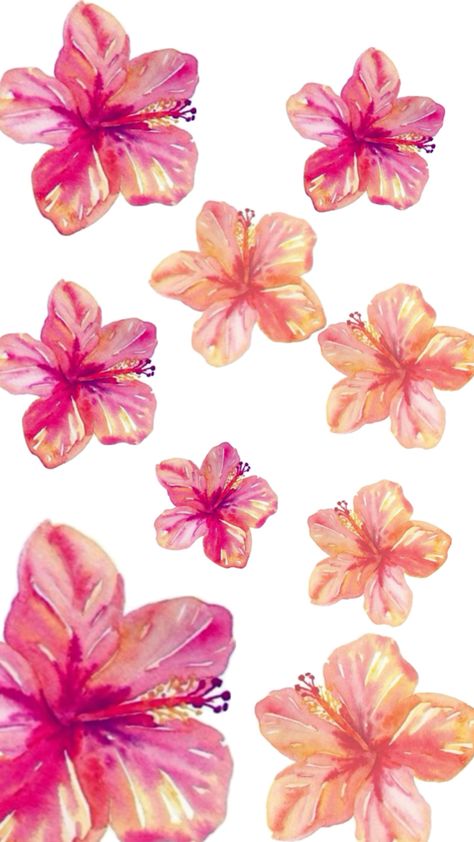 #flowerwallpaper Pink And Orange Lockscreen, Hubiskis Flower Wallpaper, Hawaiian Flowers Aesthetic, Flower Backround, Beach Widgets, Iphone Board, Hawaii Flowers, Summer Wallpapers, Cute Summer Wallpapers