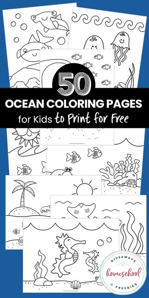 Free Ocean Animal Printables for Early Learners Octopus Coloring Page, Ocean Coloring Pages, Sea Life Animals, Dolphin Coloring Pages, Turtle Coloring Pages, Animal Printables, Fish Coloring Page, Shark Coloring Pages, Homeschool Freebies