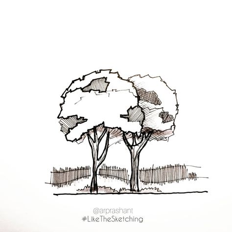 prashant sawant. on Instagram: “Architectural sketching series. So here is how to show trees in elevation..the vegetation and textures along with the main trees..well…” Architecture Tree Sketch, Trees In Elevation, Sketching Architecture, Architectural Sketching, Tree Sketch, Tree Sketches, Modern Architecture, Moose Art, No Instagram