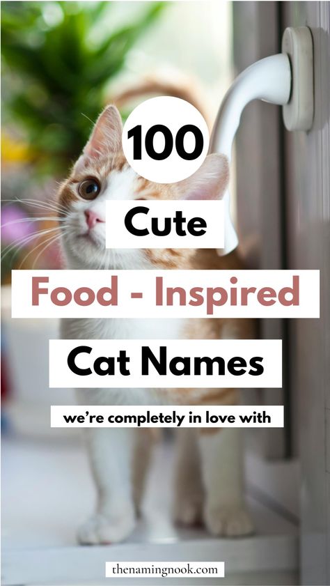 Need cute and unique cat name ideas for your cat or kitten? Check out our list of 100 adorable food-inspired cat name ideas. For a unique kitten name, look no further than these cute food-inspired pet names! cat name ideas unique, cute animal names. Name Ideas Unique, Kitten Names Unique, Kitten Names Girl, Cat Name Ideas, Cute Animal Names, Unique Cat Names, Cute Pet Names, Names Cat, Adorable Food