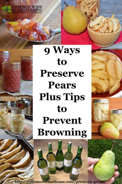 How to Preserve pears using canning, freezing, drying, freeze drying or fermenting. Their natural sweetness makes them a delicious snack or dessert. Preserving Pears, Freezing Pears, Preserve Pears, Freezing Produce, Preserved Vegetables, Freezing Recipes, Homestead Diy, Canning Pears, Pear Preserves