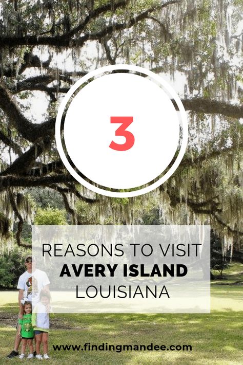 Avery Island Louisiana, New Orleans Plantations, Avery Island, Fort Polk, Louisiana Food, Vacation 2023, Louisiana Travel, 2024 Family, Jungle Gardens