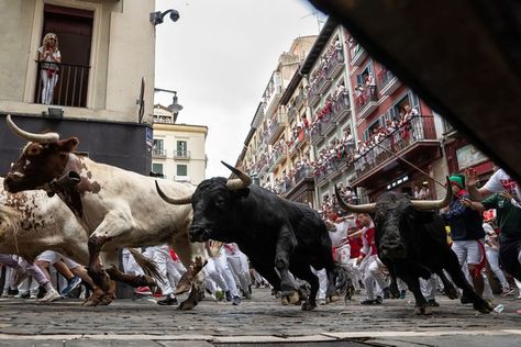 Photos: The Running of the Bulls 2024 - The Atlantic Running With The Bulls, Fakemon Region, Pamplona Spain, Running Of The Bulls, Bull Market, The Sun Also Rises, Animal Illustration Art, Raging Bull, Bull Run