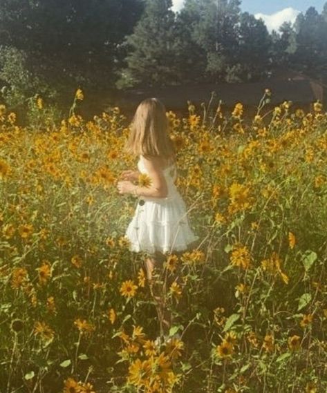 Girl in white dress in sunflower field Sunflower Cottagecore, Bestest Friend, Original Photo, Senior Portraits, Mood Board, Sunflower, Flower Girl Dresses, Hair Cuts, Wedding Dress