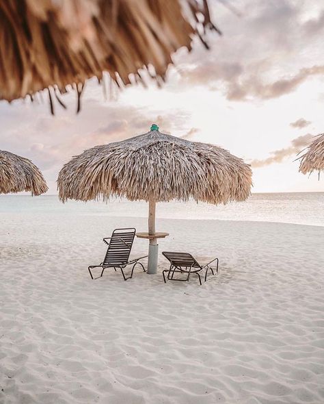 Eagle Beach Aruba, Under An Umbrella, Weekend Fun, Beach Aesthetic, Beach Vibe, Aruba, Tulum, Beach Life, Summer Time