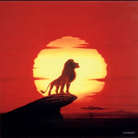 Lion king simba pride rock  sun set rise Lion King Movie Poster, Lion King Pride Rock, The Lion King Movie, Lion King Simba's Pride, Lion King Images, Lion King Tattoo, Safari Photography, King Painting, Lion King Drawings