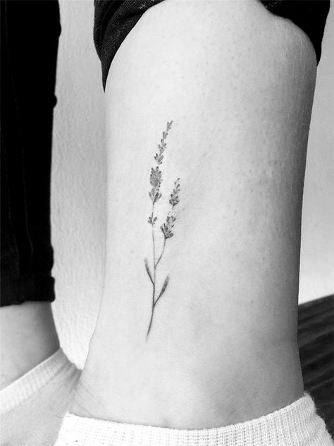 Lavander Tatoos Ideas, Fine Line Heather Flower Tattoo, Lavender Line Tattoo, Verbena Flower Tattoo, Lavender Stem Tattoo, Fine Line Larkspur Tattoo, Ballet Tattoo Minimalist, Fine Line Wildflower Tattoo, Simple Lavender Tattoo