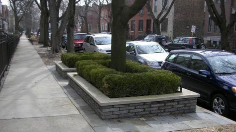 What to Know Before Landscaping Your Chicago Parkway Flower Bed Sidewalk Landscaping, Xeriscape Landscaping, Landscape Timbers, Tree Planters, Street Trees, Raised Planter, Iron Fence, Hardy Plants, Ornamental Grasses