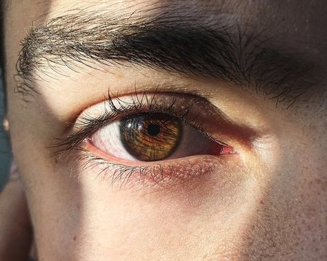 These Broken Stars, Leo Valdez, Eye Photography, Male Photography, Aesthetic Boy, The Perfect Guy, Hazel Eyes, Brown Aesthetic, Pretty Eyes