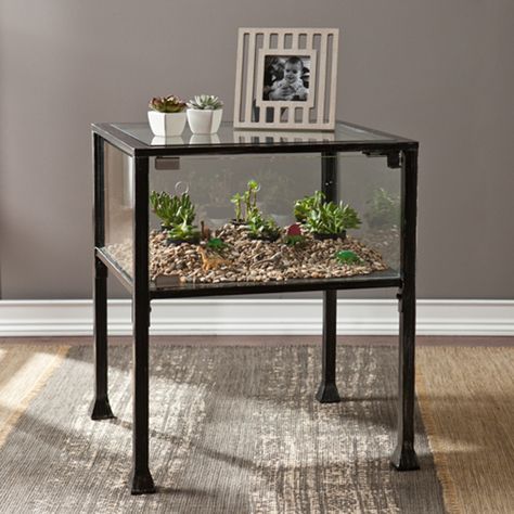 Glass House Table,  perfect use for my old aquarium.  Make a simple table to go under it. Table With Plants, Terrarium Table, Terrarium Display, Terraria, Succulent Terrarium, Glass Terrarium, Glass House, Starter Kit, Quality Furniture