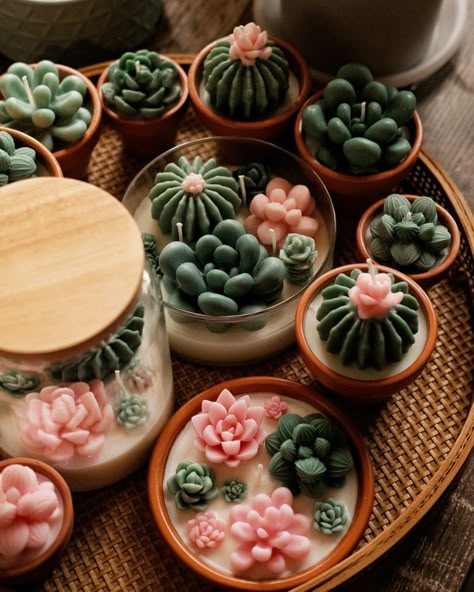 Interesting Candle Ideas, Cute Scented Candles, Succulent Candles Diy, Cute Homemade Candles, Cute Candles Ideas, Cute Candle Making Ideas, Unique Diy Candles, Candles Ideas Creative, Cool Candles Aesthetic