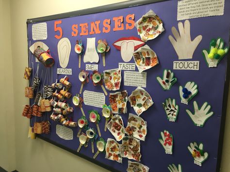 Five senses bulletin board Five Senses Bulletin Board Ideas, 5 Senses Display Board, Five Senses Decoration Classroom, Sensory Display Boards, My Five Senses Bulletin Board, My Body Bulletin Board Ideas, 5 Senses Bulletin Board Preschool, Five Senses Bulletin Board Preschool, Senses Bulletin Board Ideas