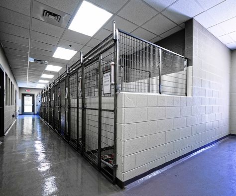 Kennel Flooring Ideas, Dog Shelter Design, Kennel Building Ideas, Animal Architecture Concept, Dog Rescue Kennel Ideas, Boarding Kennels Design, Dog Rescue Facility Kennel Ideas, Commercial Dog Kennel Ideas, Animal Rescue Facility