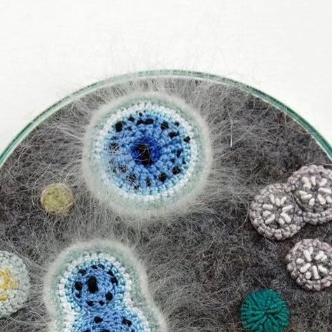 Bacteria Textiles, Petri Dishes, Embroidery Crochet, Textile Artist, Textile Artists, Female Art, Textiles, To Create, Embroidery