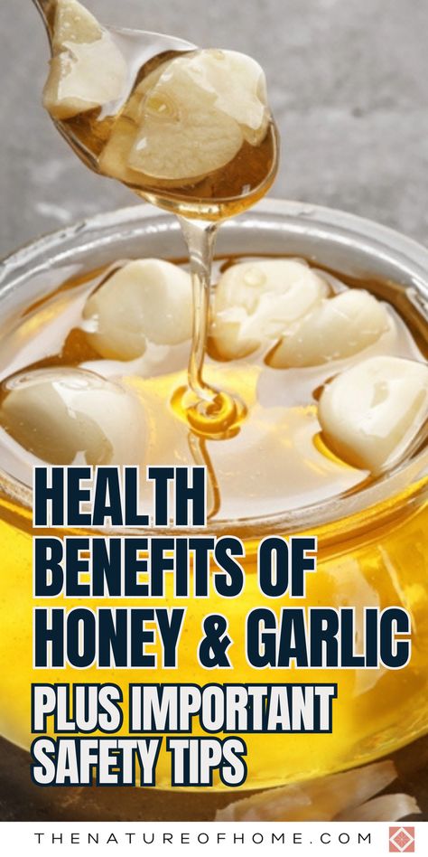 Honey and garlic can boost health in surprising ways, but caution is needed. Discover when and how to use this duo for immunity and wellness, along with the risks involved. Save this pin for later and get the facts on honey and garlic. Click to explore this powerful combo! Garlic In Honey Jar Benefits, Garlic Honey Medicine Benefits, Honey Onion Garlic Syrup Homemade, Onion Garlic Honey Remedy, Honey And Garlic Remedy, Garlic Honey Medicine, Garlic In Honey, Garlic And Honey Benefits, Garlic Remedies