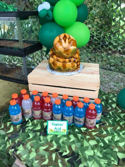 Snake cake and “gator aids”. Printable custom labels from etsy. Used tanks and reptiles for table display. Reptile Expo Booth, Diy Foam Reptile Background, Reptile Party Decorations, Diy Styrofoam Reptile Enclosure, Reptile Exhibit, Gator Party, Reptile Expo, Snake Cake, Snake Cakes