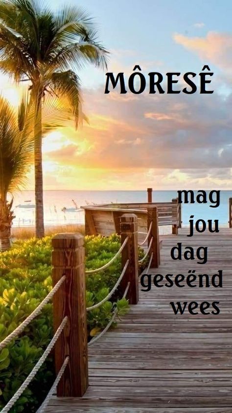 Goeie More Afrikaans, Mooi Prentjies, Good Morning Beautiful Gif, Squirrel Funny, Good Night Flowers, Good Morning Beautiful Quotes, Night Flowers, Morning Gif, Good Morning Gif