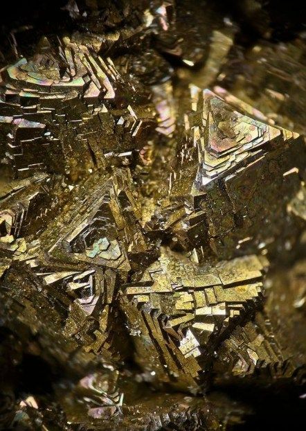 This gold specimen from Alta Floresta is exceptionally remarkable, boasting not only a bright golden color and a brilliant shine, but also standing out for its well-defined, sharp crystals. Gold Specimens, Illusion Paintings, Minerals Crystals Stones, Crystal Texture, Crystal Vibes, Fine Minerals, Crystal Formations, Crystals For Sale, Beautiful Rocks