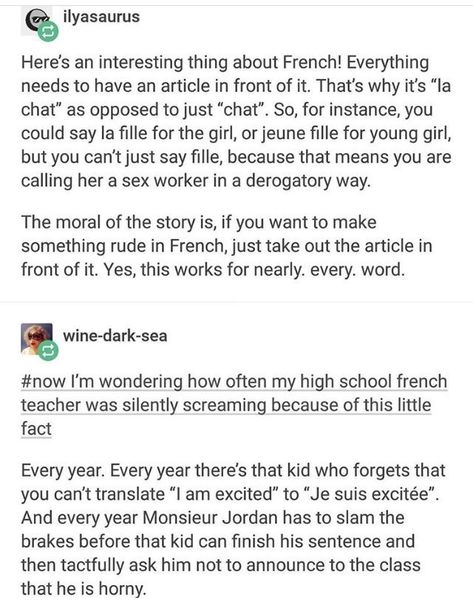 French Articles, Basic French, Learning Languages Tips, Learning French, My Teacher, Language Study, Funny Tumblr Posts, French Language, Lets Go