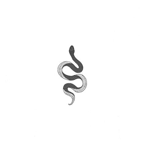 Simplistic Snake Tattoo, Snake Tattoo Patchwork, Snake Aesthetic Tattoo, Tulum Tattoo Ideas, Small Serpent Tattoo, Snake Small Tattoo, Snake Patchwork Tattoo, English Tattoo Ideas, Old English Tattoo Ideas