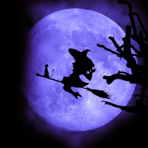 Full Moon And Bats Tattoo, Outer Space Party Theme, Pregnant Witch Silhouette, Halloween Trivia Questions, Witch Flying Across Moon, Spooky Moon Painting, Halloween Questions, Purple Bats Background, Halloween Activity Sheets