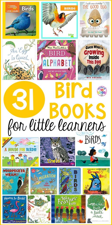 Bird Books Preschool, Birds Unit Study, Bird Unit Preschool, Bird Inquiry Kindergarten, Spring Provocations, Birds Preschool Activities, Bird Theme Preschool, Bird Kindergarten, 3s Preschool