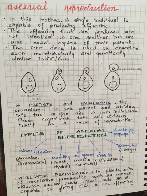 Introduction to reproduction in organisms Science Notes Biology, Reproduction In Organisms, Notes Ideas Study, Cell Notes, Notes Biology, Notes Science, Biology Diagrams, Concept Maps, Science Room